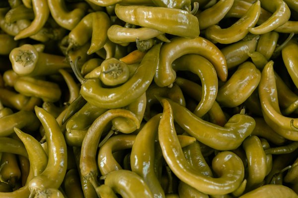 Plongez dans le goût du matcha et ses bienfaits adaptogènes !